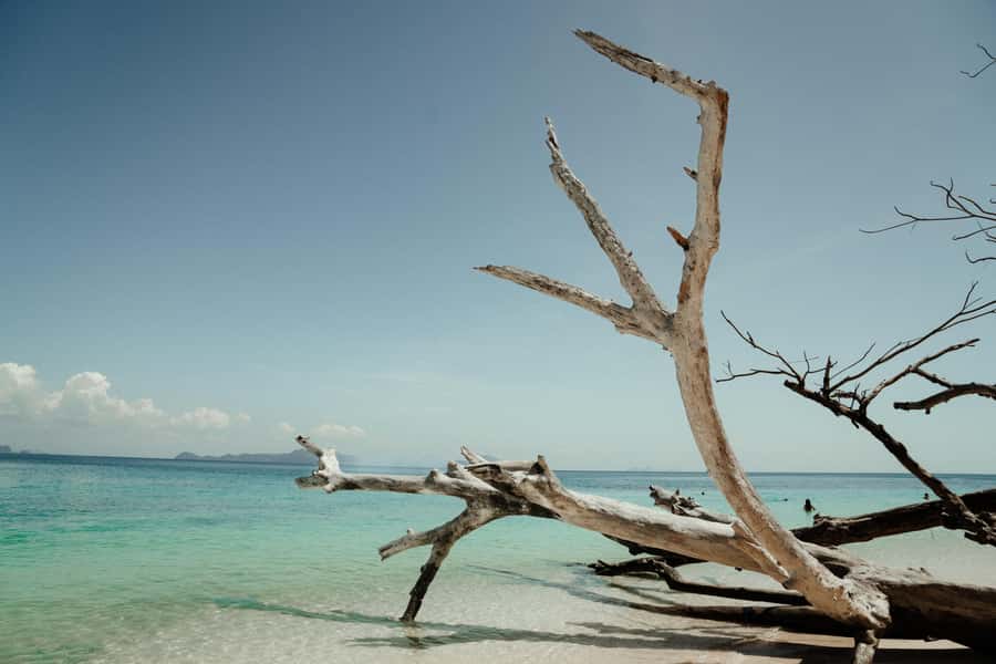 Ko Lanta: Early Bird the Emerald Caves and Koh Kradan Tour - Quick hit key points