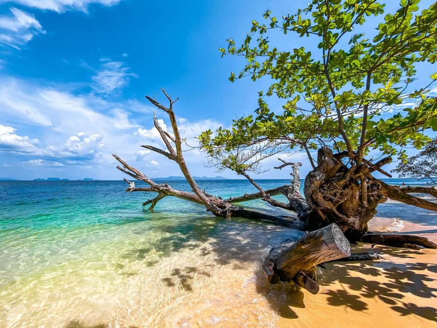 Ko Lanta: Early Bird the Emerald Caves and Koh Kradan Tour - The hidden lagoon swim, what it feels like and how to prepare