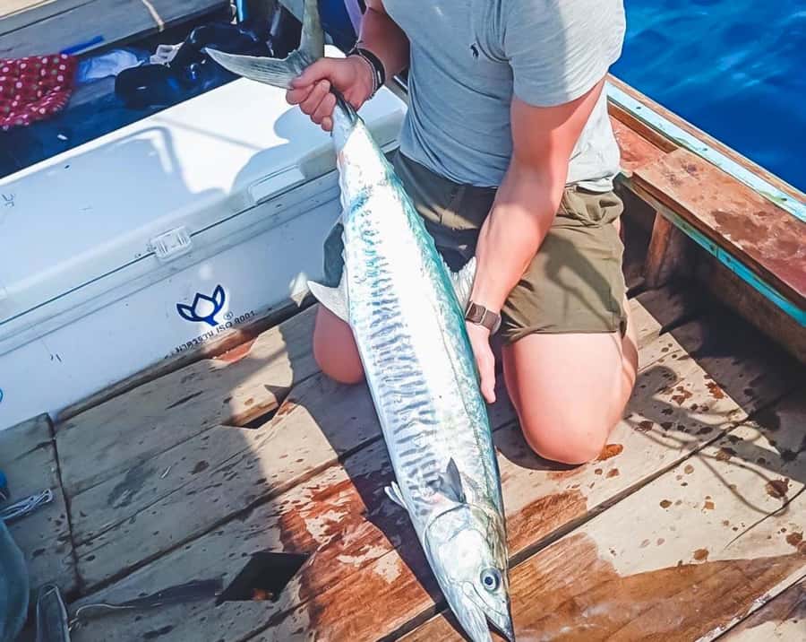 Ko Lanta: Exclusive Private Long-tail Boat Fishing Trip - What You Catch, and What It Feels Like When a Fish Is Big