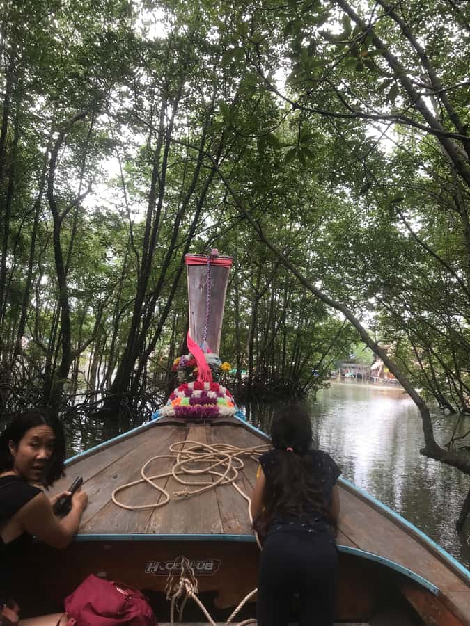 Ko Lanta: EXPLORE MANGROVE TOUR BY LONGTAIL BOAT WITH LUNCH - Ko Lanta mangrove tour basics: the 4-hour rhythm