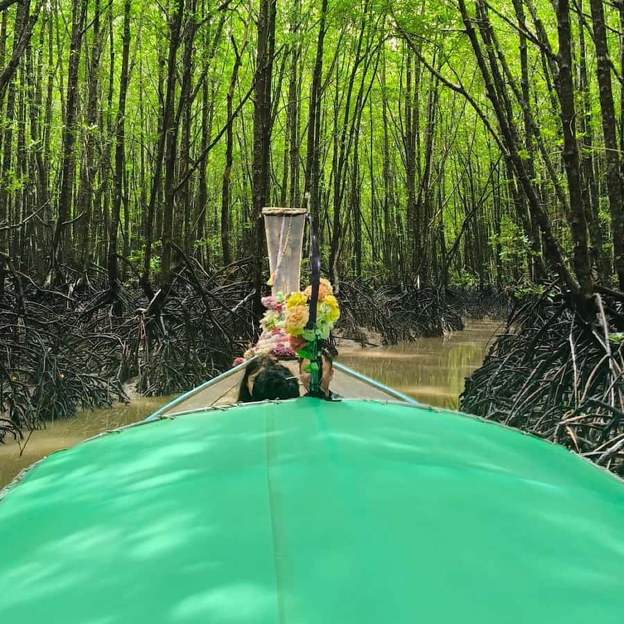 Ko Lanta: EXPLORE MANGROVE TOUR BY LONGTAIL BOAT WITH LUNCH - Mangrove forest walk and the fishing village nature trail
