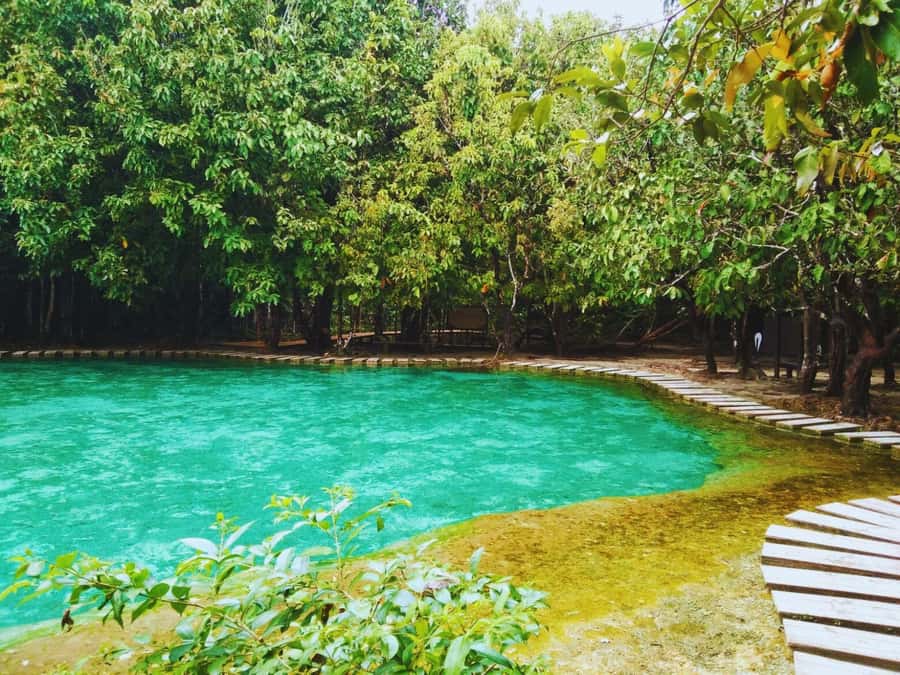 Ko Lanta: Full Day Emerald Pool&Hot Spring With Tiger Temple - Key things that make this Ko Lanta to Krabi day worth it