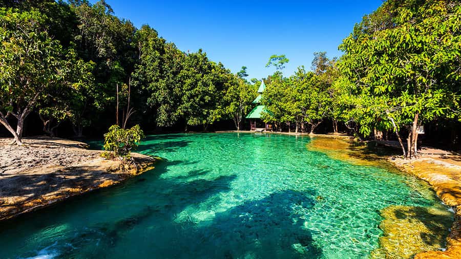 Ko Lanta: Full Day Emerald Pool&Hot Spring With Tiger Temple - Should you book Ko Lanta Full Day Emerald Pool and Hot Spring with Tiger Temple?