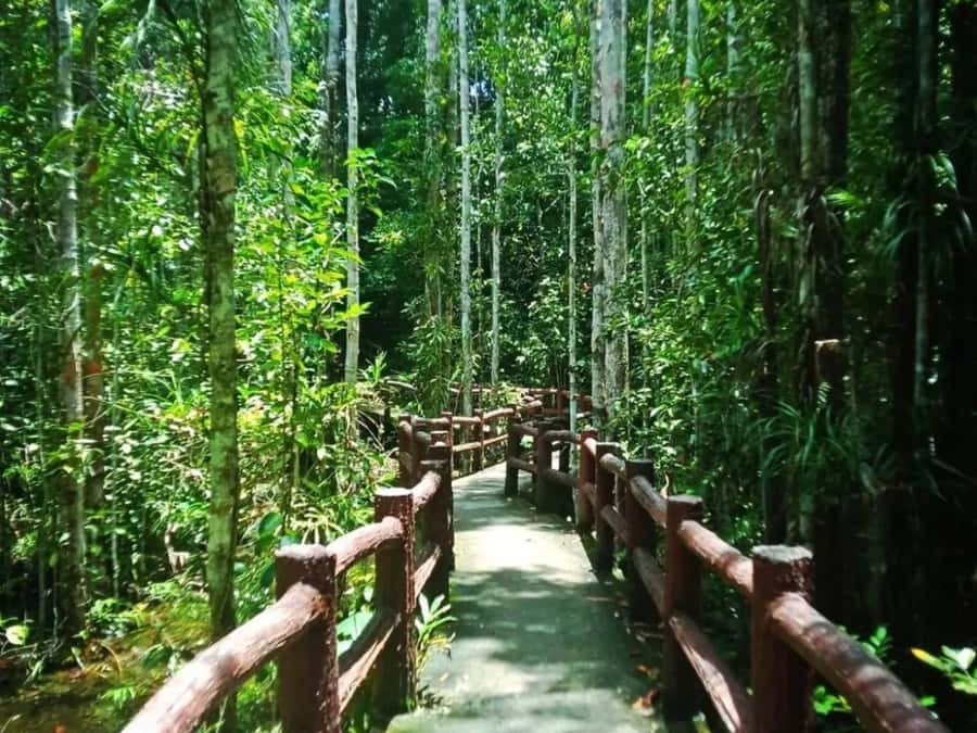 Ko Lanta: Full Day Emerald Pool&Hot Spring With Tiger Temple - What the guide and driver add (and what to watch for)