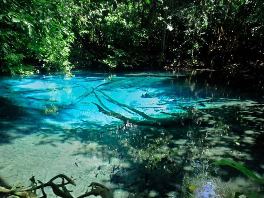Ko Lanta: Full Day Emerald Pool&Hot Spring With Tiger Temple - Who should book this Ko Lanta day trip, and who should skip it?