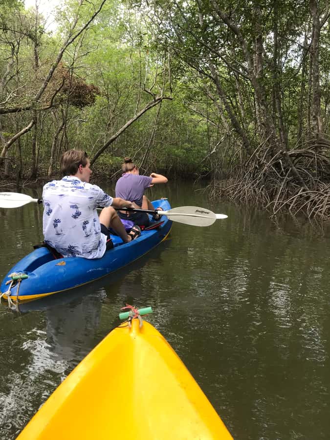 Ko Lanta: HALF DAY EXPLORE MANGROVE KAYAKING TOUR AND LUNCH - Key highlights worth planning for