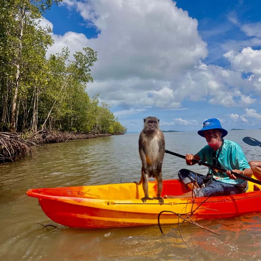 Ko Lanta: HALF DAY EXPLORE MANGROVE KAYAKING TOUR AND LUNCH - Kayaking Through Koh Lanta’s Mangrove Maze