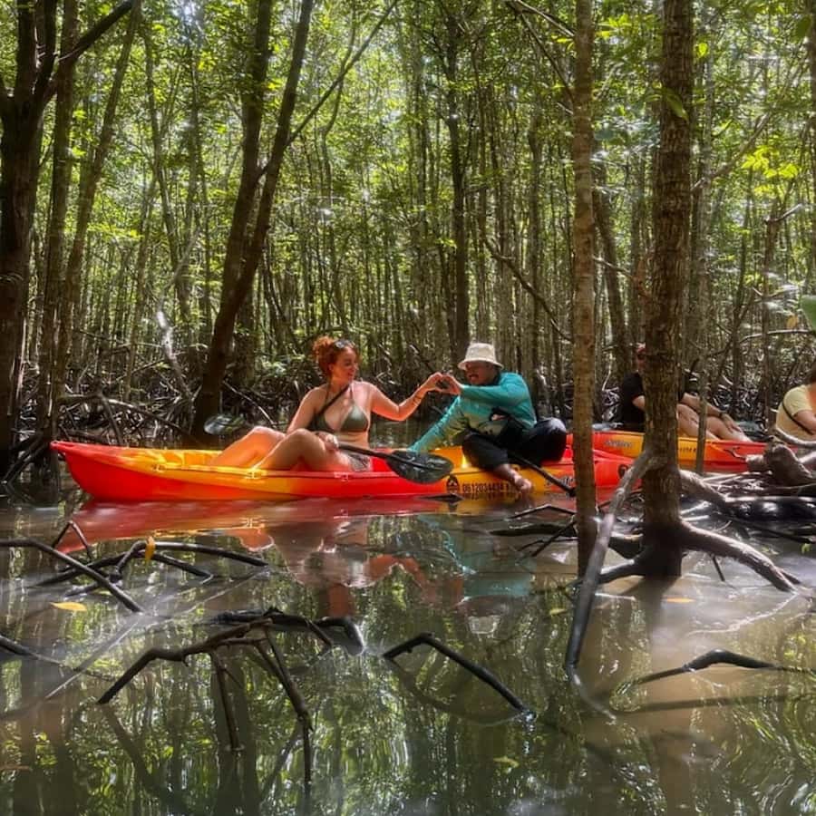 Ko Lanta: HALF DAY EXPLORE MANGROVE KAYAKING TOUR AND LUNCH - On The Water: Wildlife, Birds, and the Mangrove Micro-World