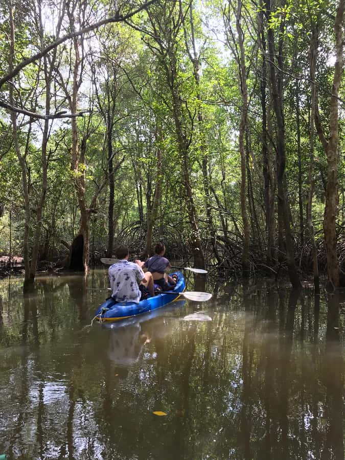 Ko Lanta: HALF DAY EXPLORE MANGROVE KAYAKING TOUR AND LUNCH - Lunch at the Mangrove Restaurant, What You Can Expect