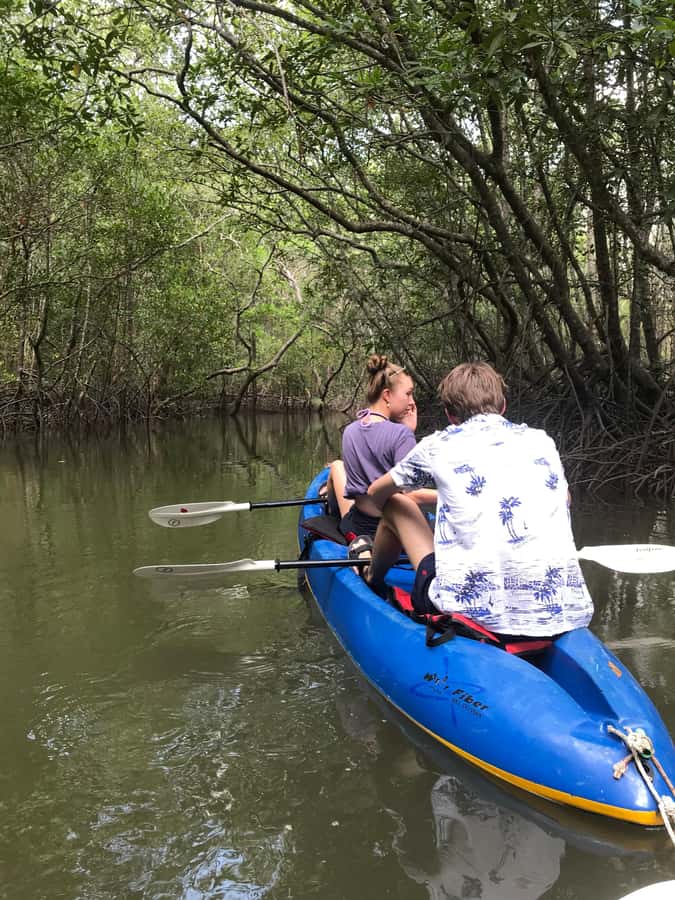 Ko Lanta: HALF DAY EXPLORE MANGROVE KAYAKING TOUR AND LUNCH - Price and Value: Is $28 Per Person Fair for This Half Day?