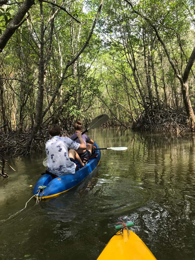Ko Lanta: HALF DAY EXPLORE MANGROVE KAYAKING TOUR AND LUNCH - Who This Tour Fits Best on Koh Lanta