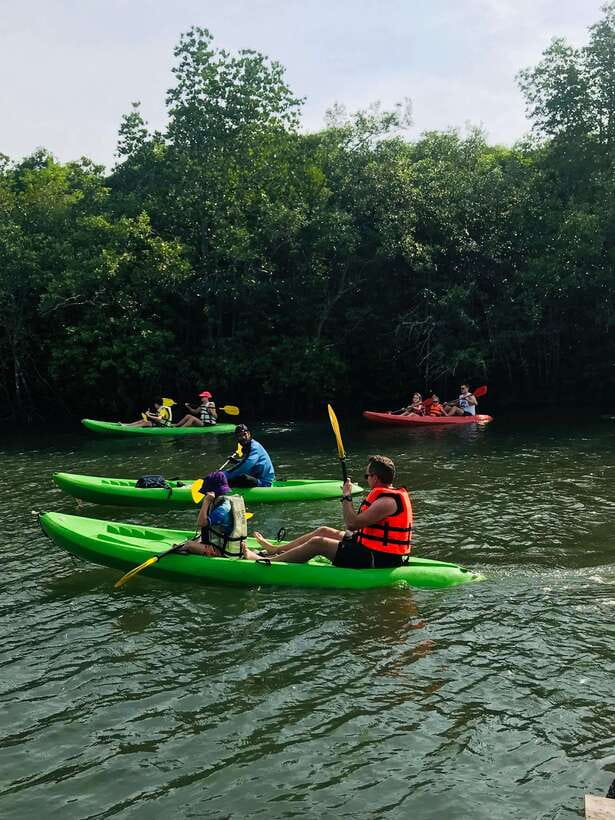Ko Lanta: Half-Day Mangrove Kayaking Tour with Lunch - Who Should Book This Tour (and Who Might Skip)