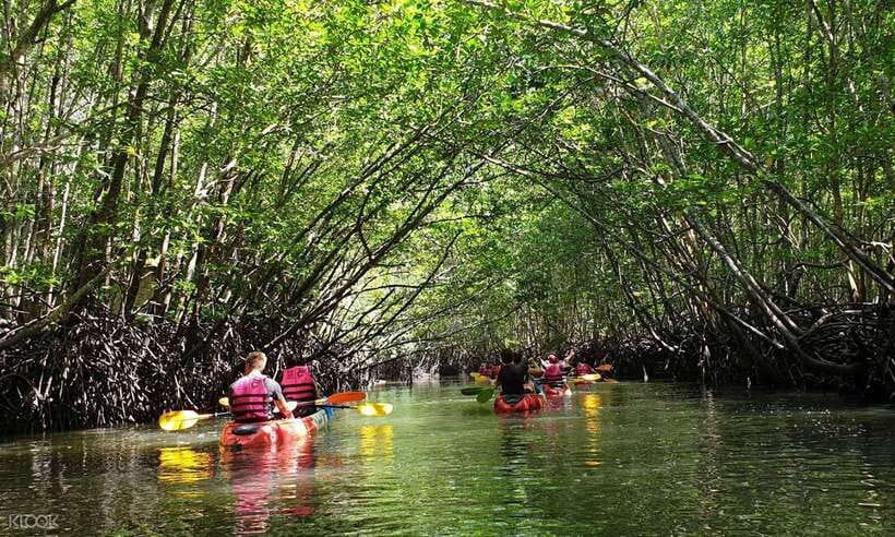 Ko Lanta: Half-Day Mangrove Kayaking Tour with Lunch - Getting From Your Hotel to Tung Yee Peng Pier