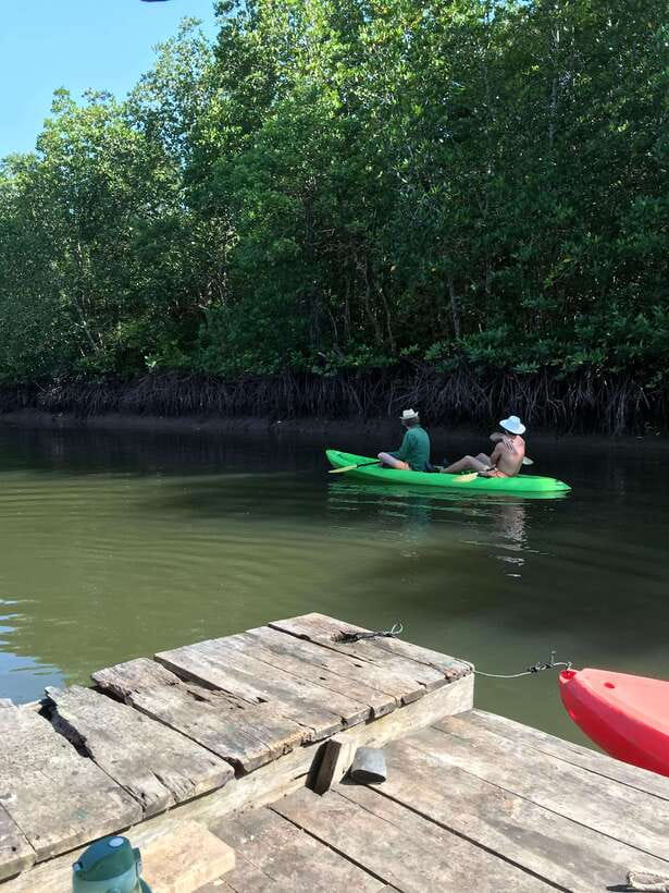 Ko Lanta: Half-Day Mangrove Kayaking Tour with Lunch - Wildlife Spotting You Can Do Without a Camera App