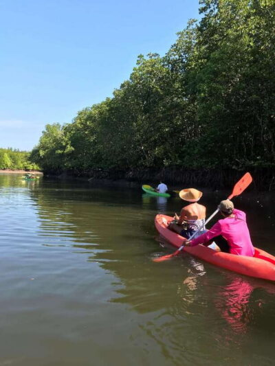 Half-Day Mangrove Kayaking Tour with Lunch