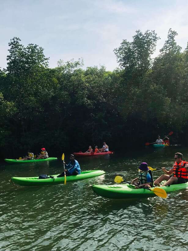 Ko Lanta: Half-Day Mangrove Kayaking Tour with Lunch - The Monkey Stop From the Boat, and How to Handle the Unexpected