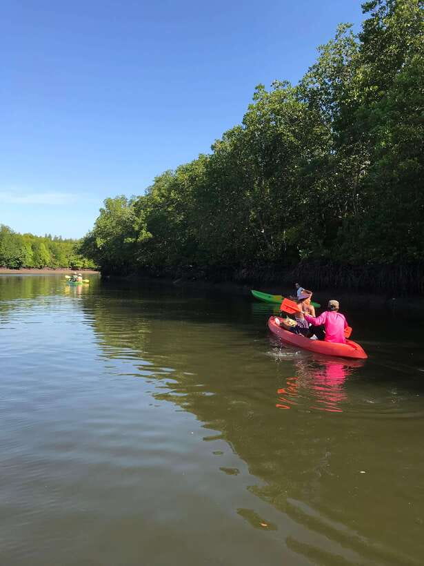 Ko Lanta: Half-Day Mangrove Kayaking Tour with Lunch - Lunch, Seasonal Fruit, and Soft Drinks: The Recovery You’ll Appreciate