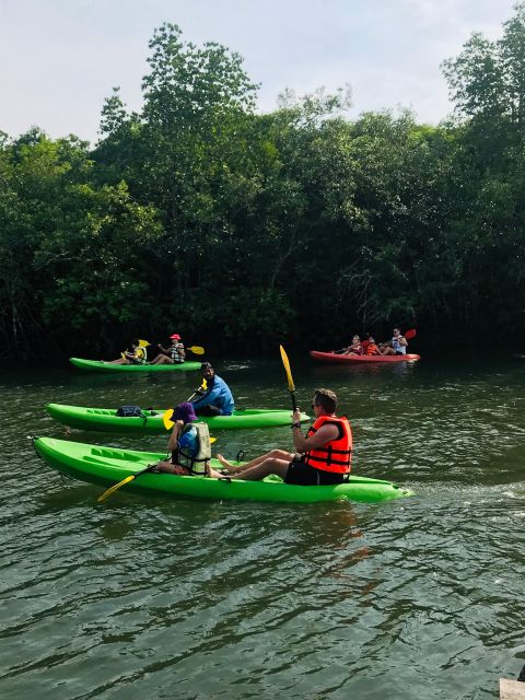 Ko Lanta: Half-Day Mangrove Kayaking Tour with Lunch - Price and Value: Is $26 Worth a Guided Kayak, Lunch, and Pickup?