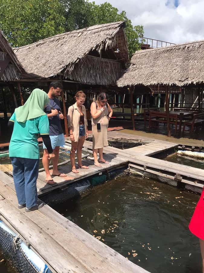 Ko Lanta: Half Day Tour Mangrove Boat Trip With Lunch - Should you book the Ko Lanta mangrove half-day boat trip?