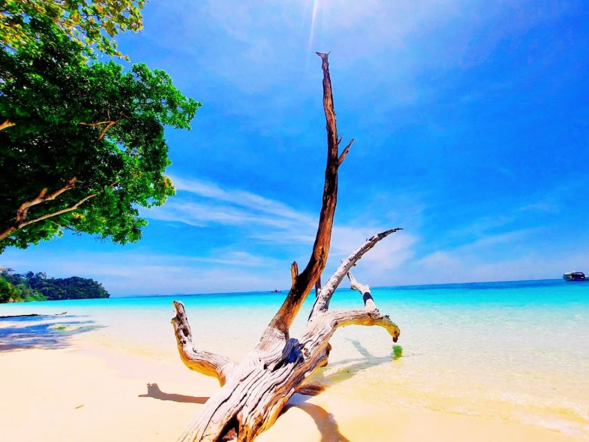 Ko Lanta: Koh Rok & Koh Haa Snorkelling Tour by Speedboat - Koh Haa First: Clear Water, Reef Snorkeling, and Soft Corals