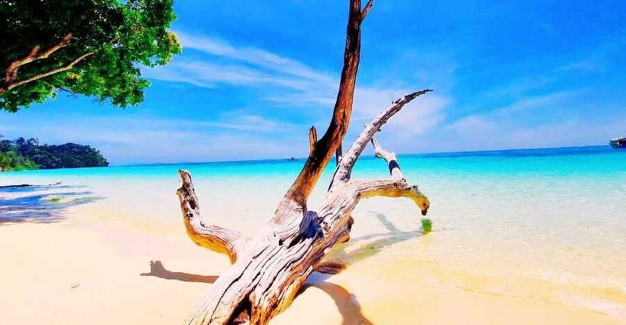 Ko Lanta: Koh Rok & Koh Haa Snorkelling Tour by Speedboat - Getting Picked Up on Ko Lanta, and Why Timing Feels Early