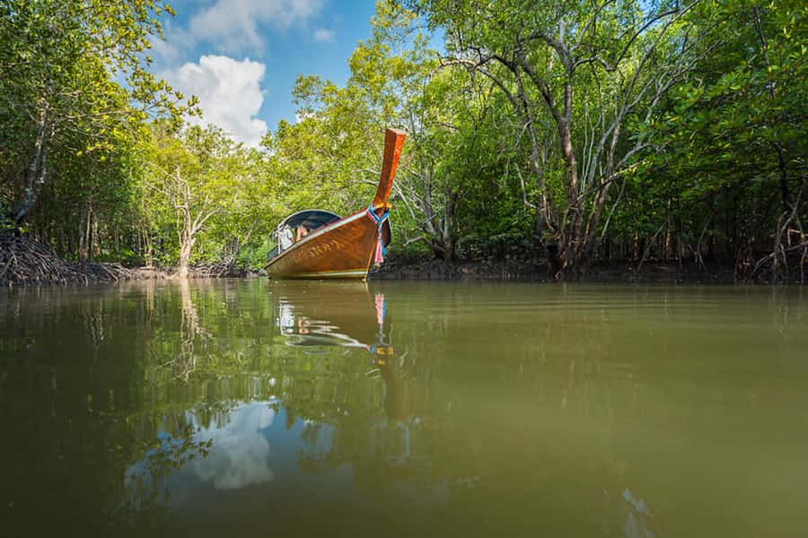 Ko Lanta: Mangrove Forest Boat Tour with Lunch or Dinner - Key Highlights Worth Your Time