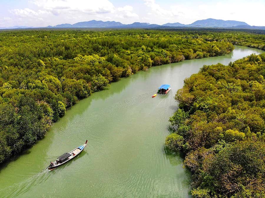 Ko Lanta: Mangrove Forest Boat Tour with Lunch or Dinner - Pickup Times on Ko Lanta, and How to Avoid Stress