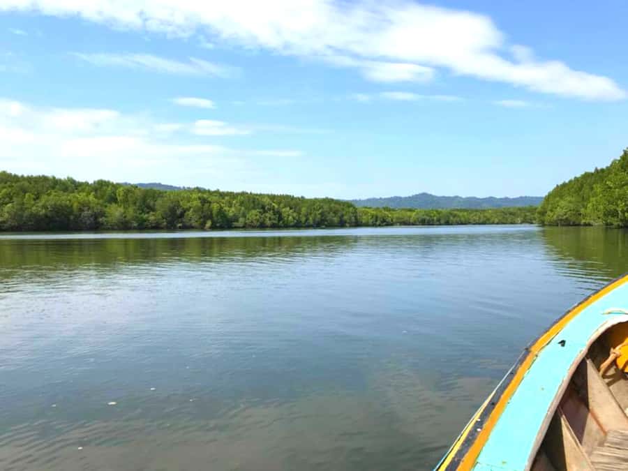Ko Lanta: Mangrove Forest Boat Tour with Lunch or Dinner - Who Should Book This Mangrove Tour (and Who Should Skip It)