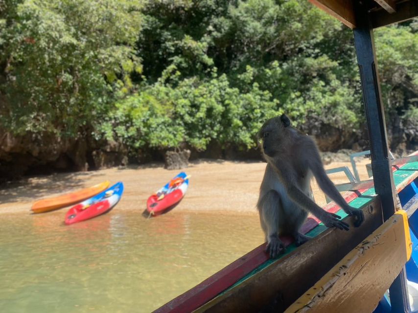 Ko Lanta: Mangrove Kayaking, Ko Talabeng, & Skull Island - Key points that make this tour worth your time