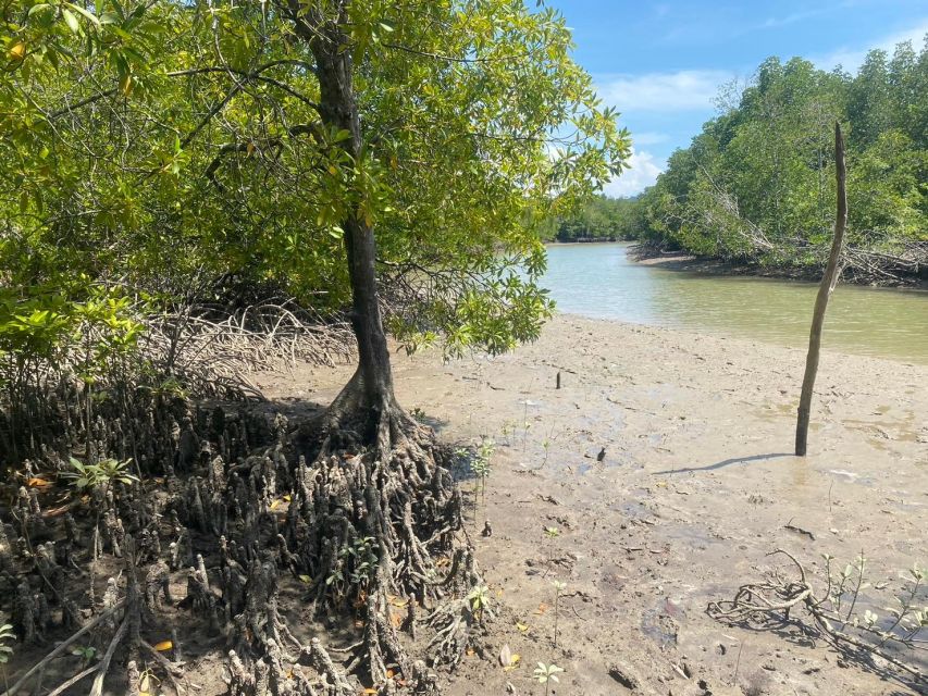Ko Lanta: Mangrove Kayaking, Ko Talabeng, & Skull Island - Price and value: what $63 includes and why it is not just kayaking