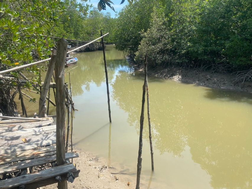 Ko Lanta: Mangrove Kayaking, Ko Talabeng, & Skull Island - Sea cave kayaking: stalactites, stalagmites, and crystal water