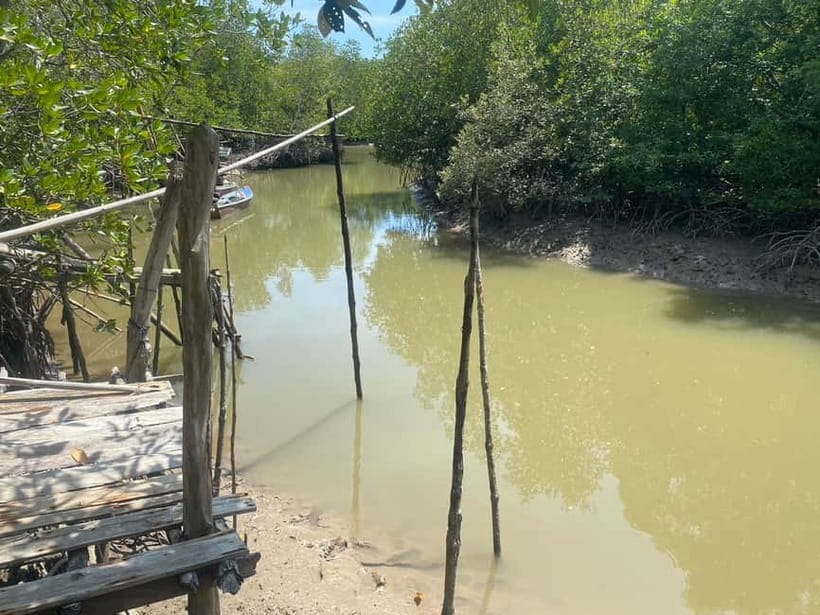 Ko Lanta: Mangrove Kayaking, Ko Talabeng, & Skull Island - Timing, energy level, and how long seven hours really feels