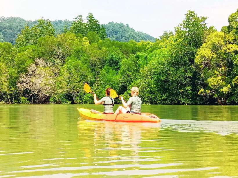 Ko Lanta: Mangrove Kayaking with Lunch and Hotel Transfer - Mangrove kayaking at Tung Yee Peng: what the experience feels like