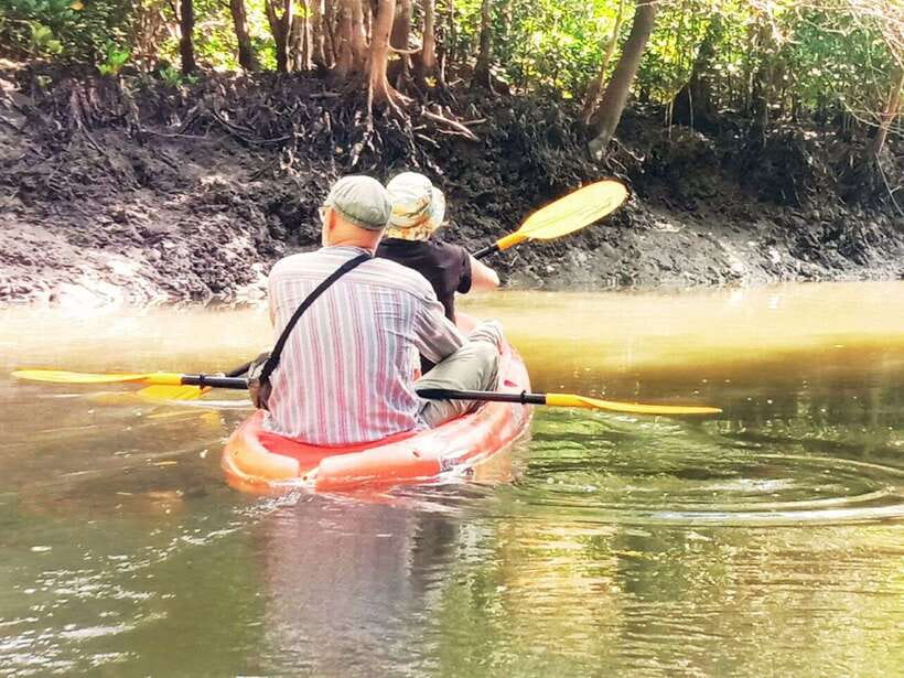 Ko Lanta: Mangrove Kayaking with Lunch and Hotel Transfer - Price and value: is 27 USD worth it?