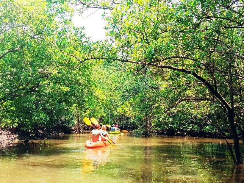 Ko Lanta: Mangrove Kayaking with Lunch and Hotel Transfer - Pickup on Ko Lanta: timing that keeps your day sane