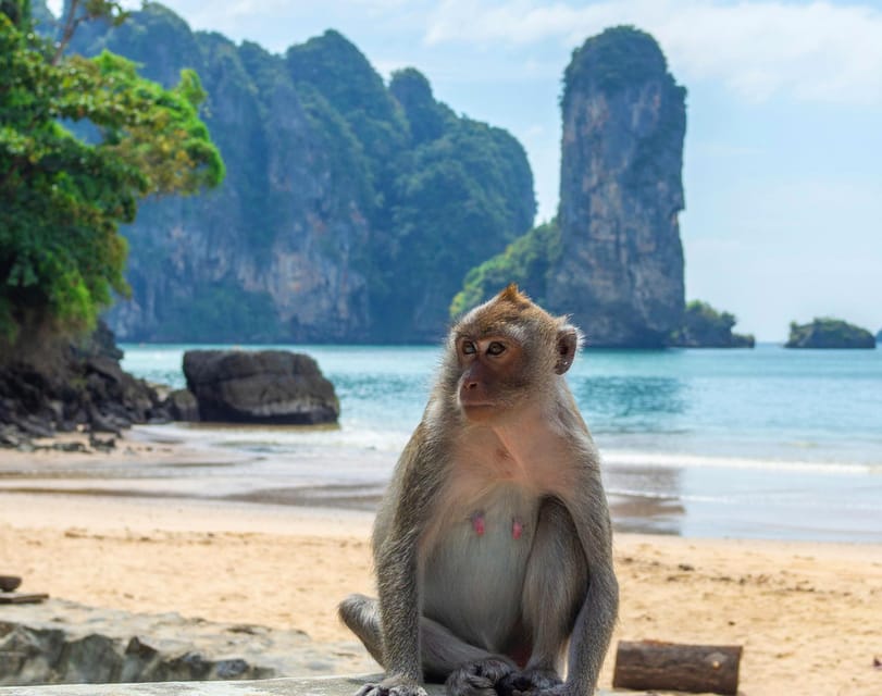 Ko Lanta: Private Exploration– Mangroves, Old Town & Beaches - Bamboo Beach: swim, snorkel, and a meal by the sea