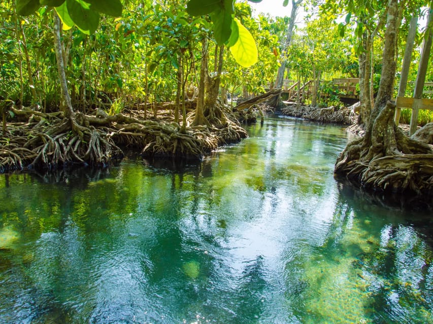 Ko Lanta: Private Exploration– Mangroves, Old Town & Beaches - Price and value: what $65 per person buys you