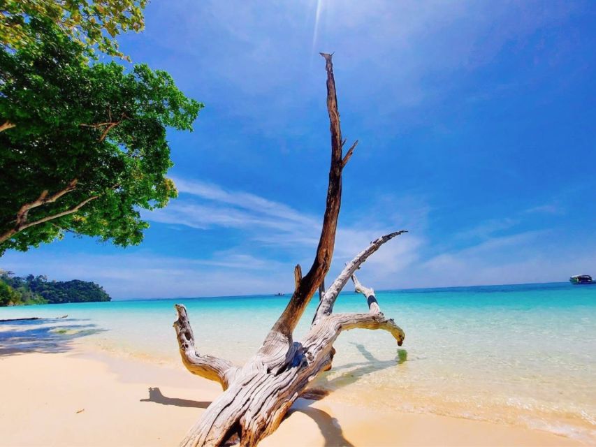 Ko Lanta: Private Longtail Rok Island Snorkeling Day Trip - The 8 AM start to 4 PM return: how your timing really works