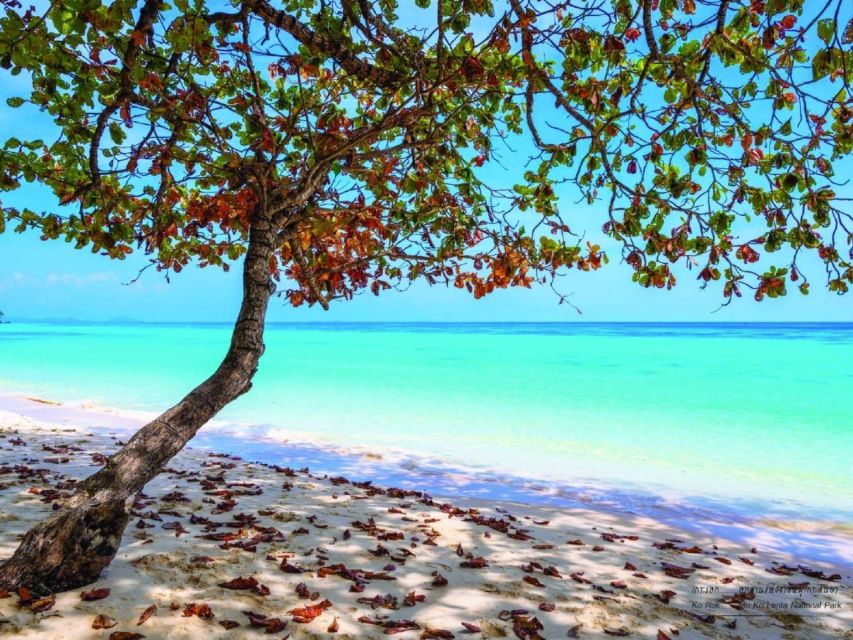 Ko Lanta: Private Longtail Rok Island Snorkeling Day Trip - Price and logistics: is $329 per group good value?