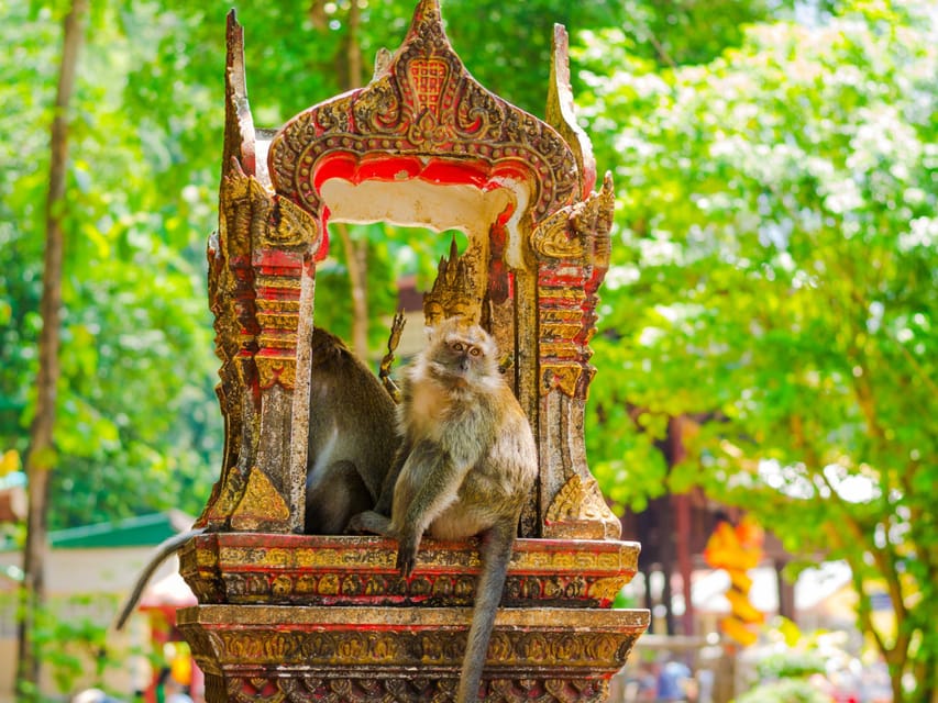 Ko Lanta: Private Tiger Cave, Hot Spring & Emerald Pool Tour - FAQ