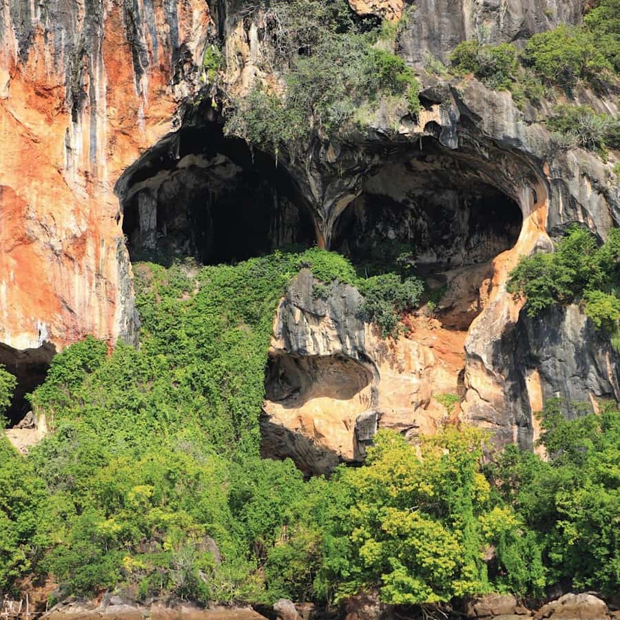 Ko Lanta: Sea Cave Kayaking Adventure Mangrove with Lunch - Key Highlights You Will Actually Care About