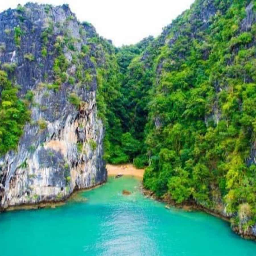 Ko Lanta: Sea Cave Kayaking Adventure Mangrove with Lunch - What the Group Rhythm Teaches You About Timing and English