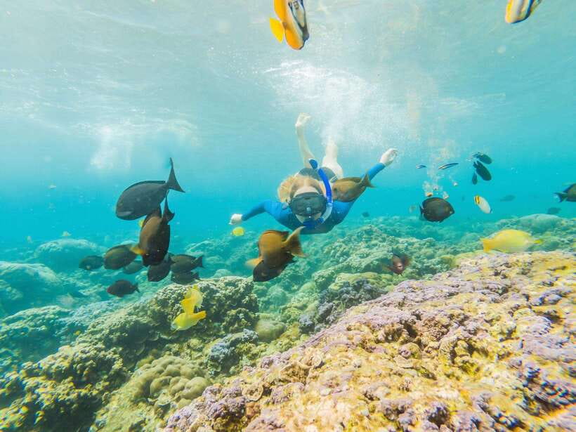 Ko Lanta: Snorkeling Adventure Tour to Koh Rok and Koh Haa - Who should book this snorkeling day trip, and who should skip it