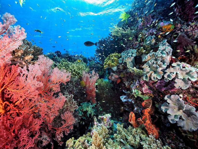 Ko Lanta: Snorkeling Adventure Tour to Koh Rok and Koh Haa - Pickup, Saladan Pier, and that first boat-cruise rhythm
