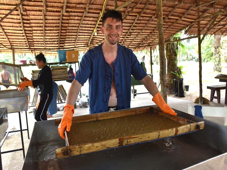 Ko Lanta Yai: Half-Day Ethical Elephant Sanctuary Tour - Entering the sanctuary: how Ko Lanta sets the tone