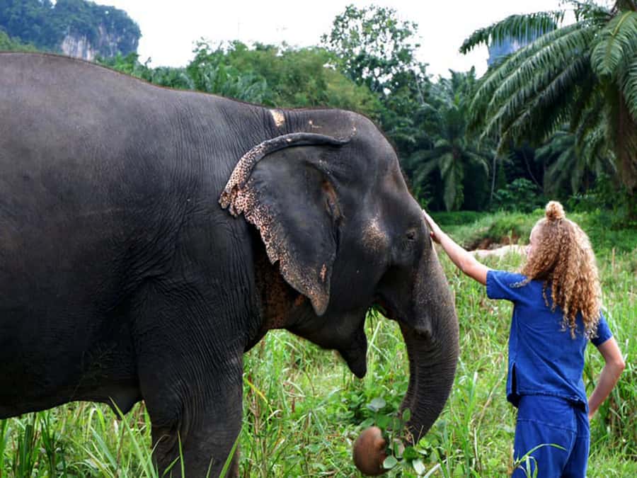 Ko Lanta Yai: Half-Day Ethical Elephant Sanctuary Tour - Washing and brushing: the moment that turns it from fun to caring