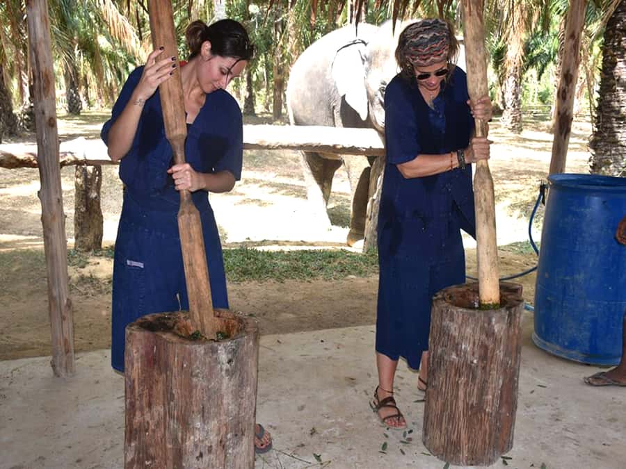 Ko Lanta Yai: Half-Day Ethical Elephant Sanctuary Tour - Who this tour suits best (and who should skip it)