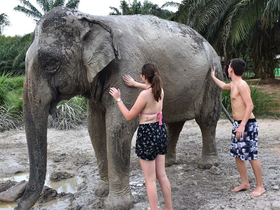Ko Lanta Yai: Half-Day Ethical Elephant Sanctuary Tour - Getting to the elephants: bananas, behavior tips, and photo-friendly time