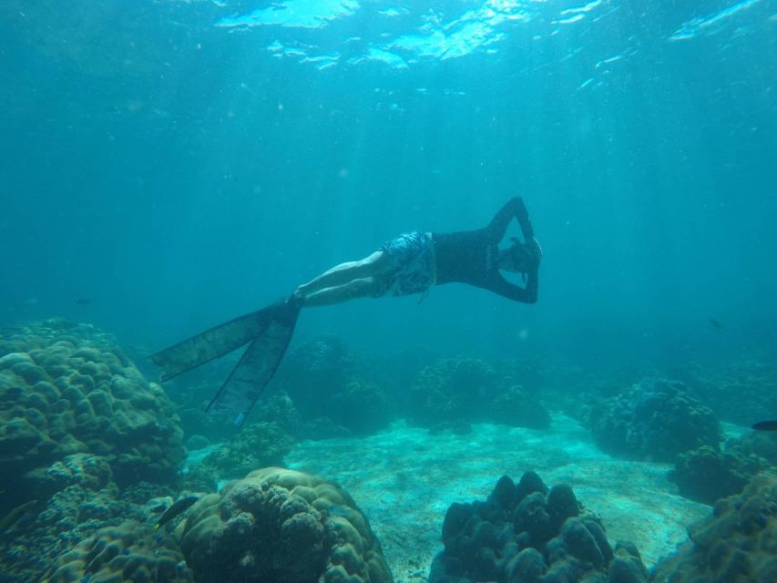 Ko Lipe: Outside Zone Snorkeling Trip by Longtail Boat - Why the Outside Zone of Ko Lipe Is Such a Big Deal