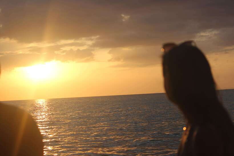 Ko Phi Phi Don: Speedboat Day Trip with Shark Snorkeling - Key Things I’d Focus On